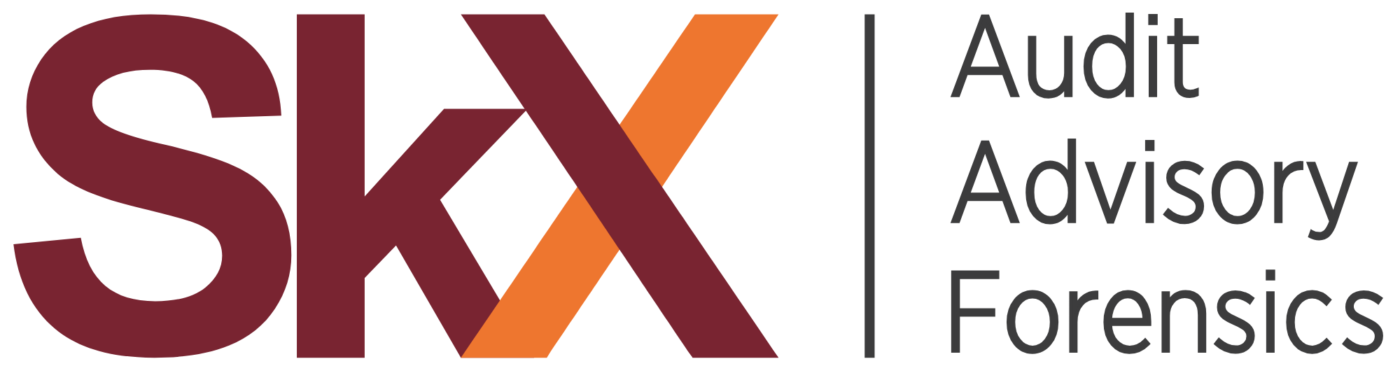 SkX Audit Advisory Forensics